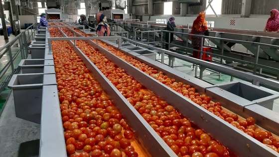 Chaîne de production de pâte de tomate de ketchup rendement élevé 1000kg/H